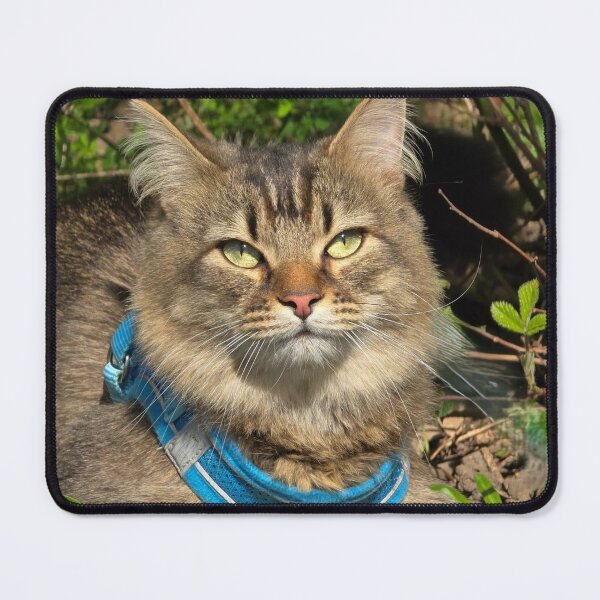 Item preview, fluffy kitty designed and sold by Shopping Alley.