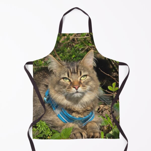 Item preview, fluffy kitty designed and sold by Shopping Alley.