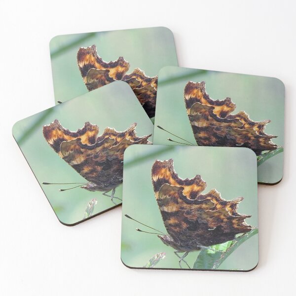 Item preview, Comma Butterfly designed and sold by morrisophotography.