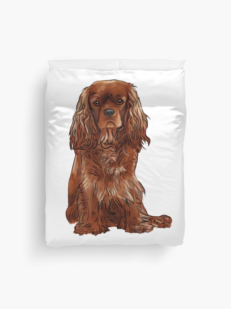 Irish Setter Chiffon Cover Up Irish Setter Chiffon Cover Up