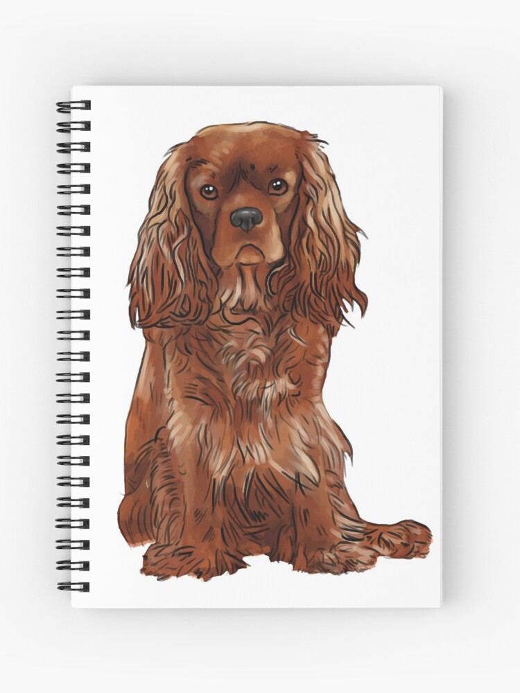 Cavalier King Charles Spaniel Face Cover - Ruby Cavalier King Charles Spaniel Face Cover - Ruby
