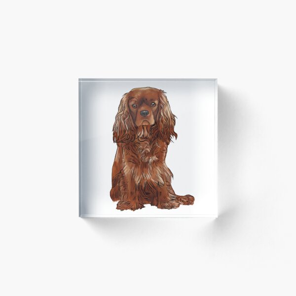 Cavalier King Charles Spaniel - Ruby Acrylic Block