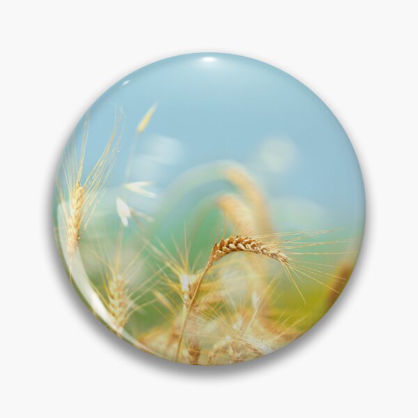 Artikelvorschau, Golden Wheat Field Minimal Nature Background Soft Sky Agricultural Aesthetic Design entworfen und verkauft von onubi.