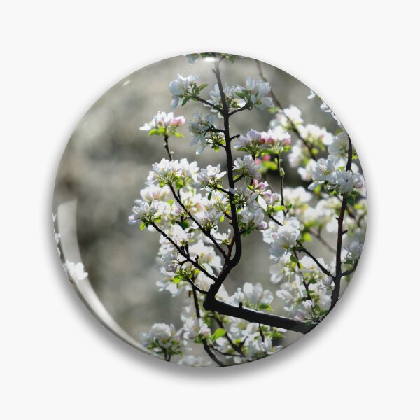 Artikelvorschau, White Blossom Tree Branch Soft Spring Floral Aesthetic Nature Background entworfen und verkauft von onubi.