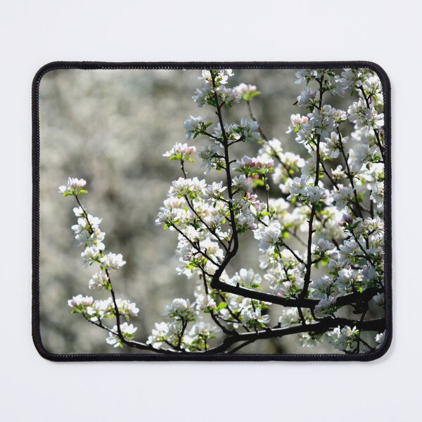 Item preview, White Blossom Tree Branch Soft Spring Floral Aesthetic Nature Background designed and sold by onubi.