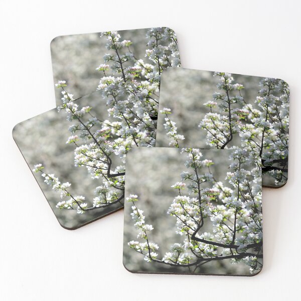 Item preview, White Blossom Tree Branch Soft Spring Floral Aesthetic Nature Background designed and sold by onubi.