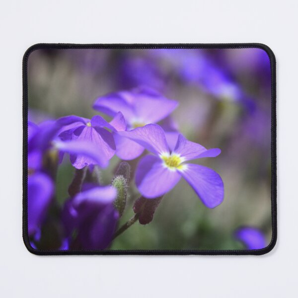 Item preview, Soft Purple Flower Macro Dreamy Floral Aesthetic Blurred Background Nature Close Up designed and sold by onubi.