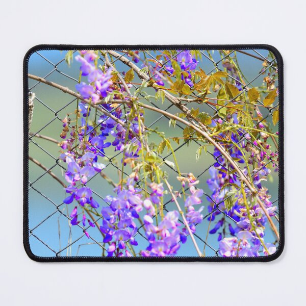 Item preview, Purple Wisteria Flowers on Fence Aesthetic Nature Pattern Floral Wall Decor Design designed and sold by onubi.