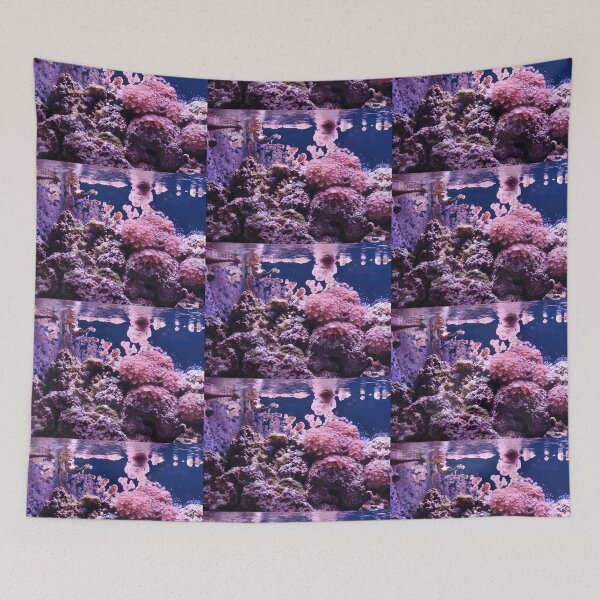 Item preview, Pink-quarium - original photograph by mjh, 2007 designed and sold by eustacia42.