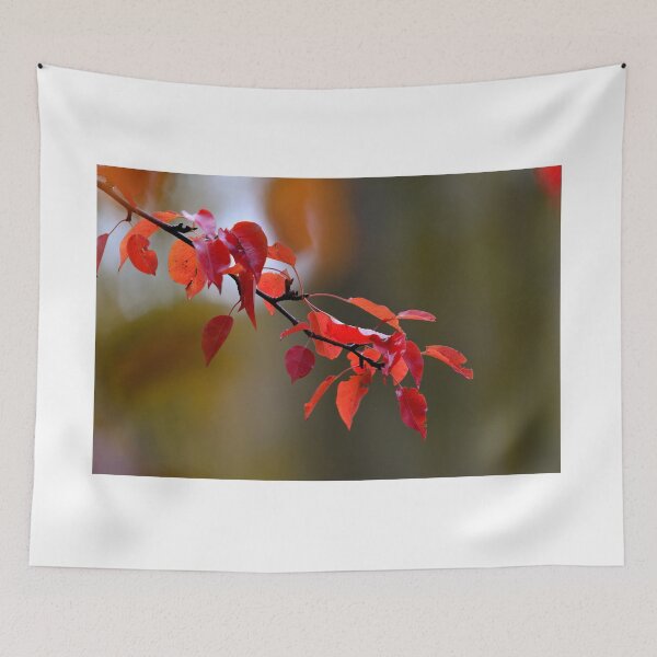 Item preview, Red Autumn Leaves Branch Minimal Nature Aesthetic Soft Background Wall Art designed and sold by onubi.