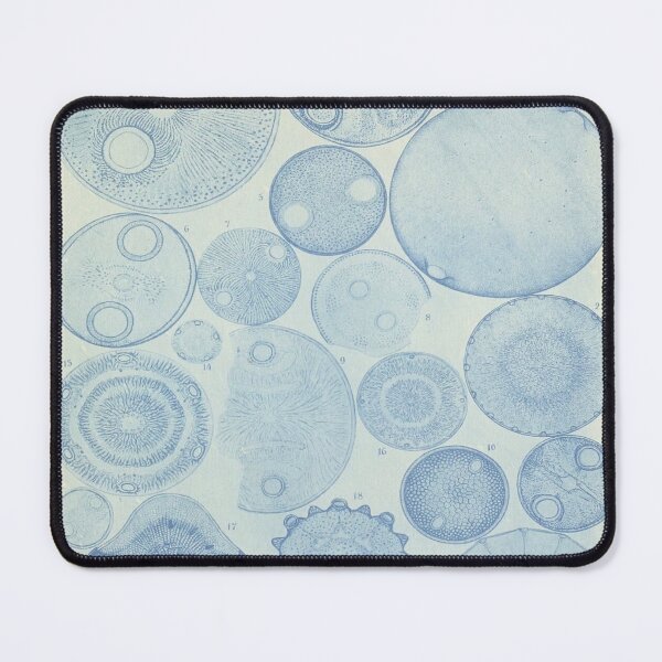Item preview, Plate 149 designed and sold by Historical-Hare.