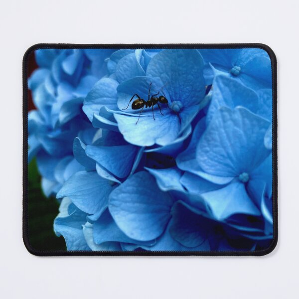 Item preview, Ant on a Hydrangea flower designed and sold by SpiderStar.