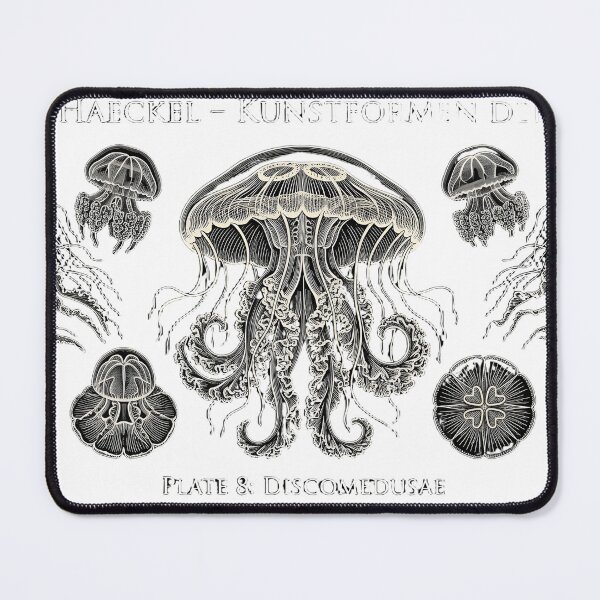 Item preview, Ernst Haeckel: Discomedusae - Vintage Marine Biology Illustration (Pure Art Print) designed and sold by GreatPeopleMind.