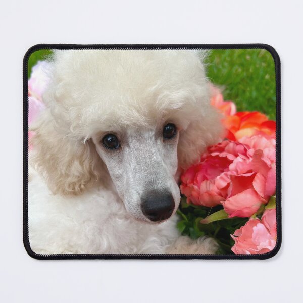 Item preview, Puppy in pink flowers designed and sold by RivehArt.