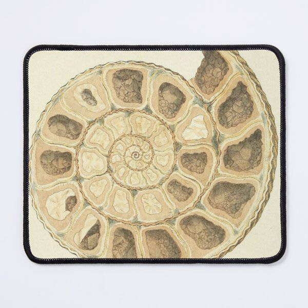 Item preview, Carbonite of Lime designed and sold by Historical-Hare.