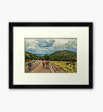 Fossil Creek Road Framed Print