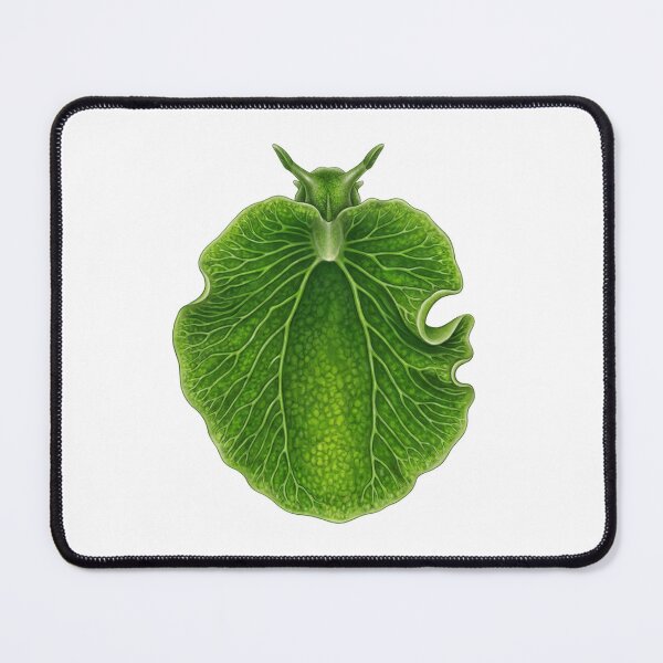 Item preview, Emerald Sea Slug designed and sold by Chaoscience.