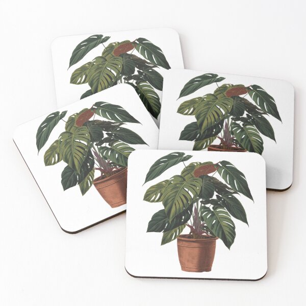Item preview, Vintage Houseplant — Natural Shine designed and sold by VintageTips.