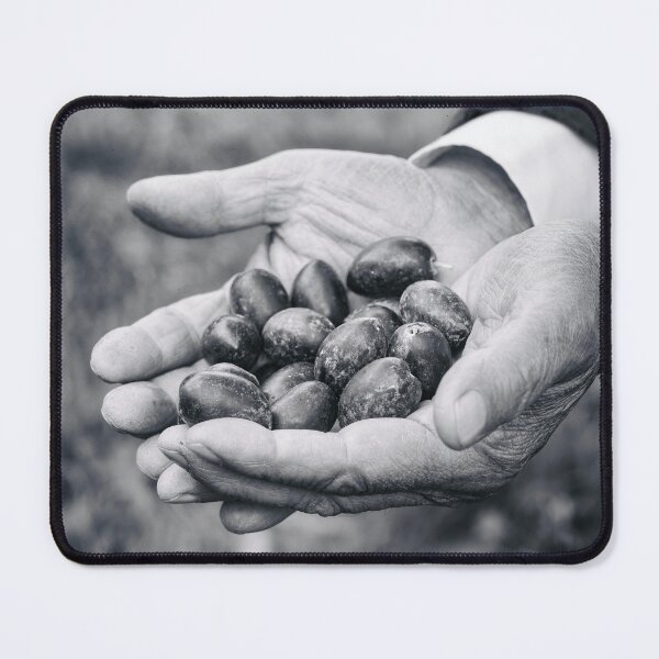Item preview, Holding Freshly Picked Olives designed and sold by PhotoArt by Joan Carroll.