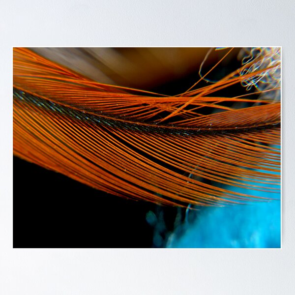 Artikelvorschau, Feather #2 entworfen und verkauft von mrthink.