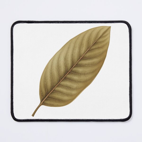 Item preview, Bay Leaf Kitchen Herb — Vintage Botanical designed and sold by VintageTips.