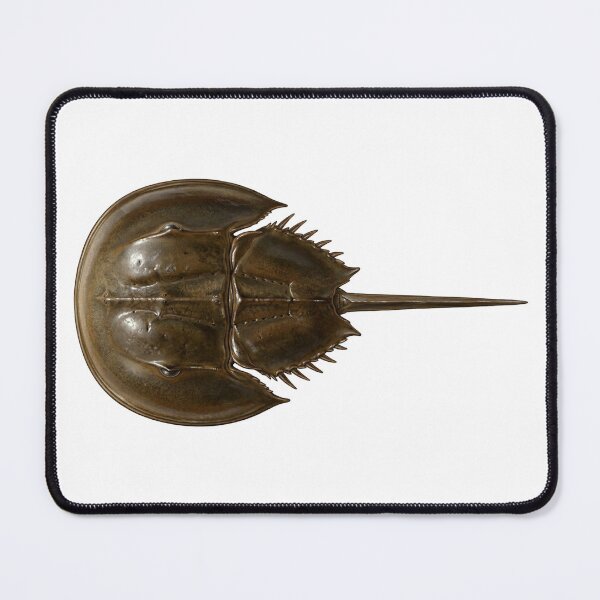 Item preview, horseshoe crab designed and sold by Chaoscience.