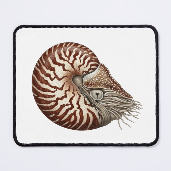 Item preview, Nautilus designed and sold by Chaoscience.