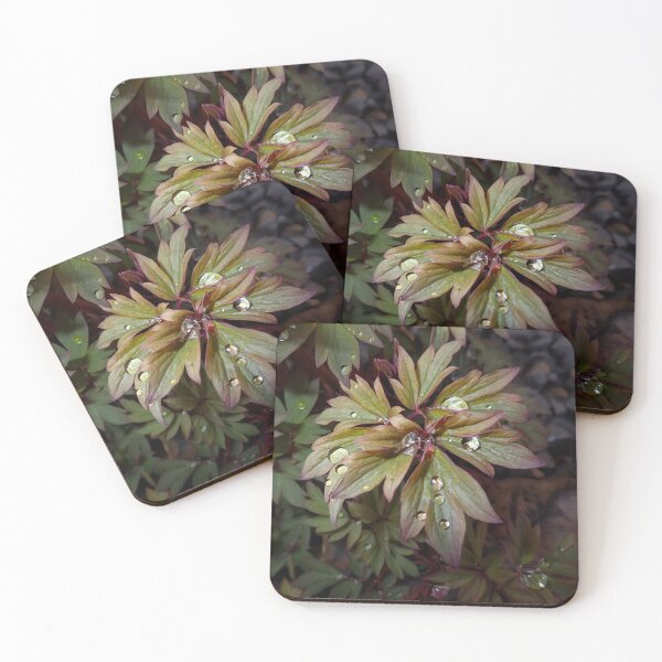 Item preview, Rain on Bleeding Heart leaves  designed and sold by Cblifeisgood.