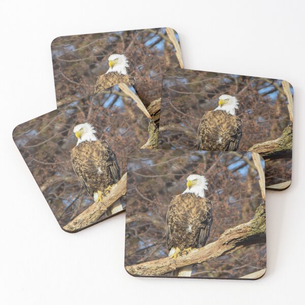 Item preview, Bald eagle  designed and sold by KB520PHOTOGRAPH.