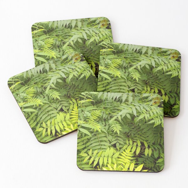 Item preview, Succulent green leaves designed and sold by Atmo&Aura.