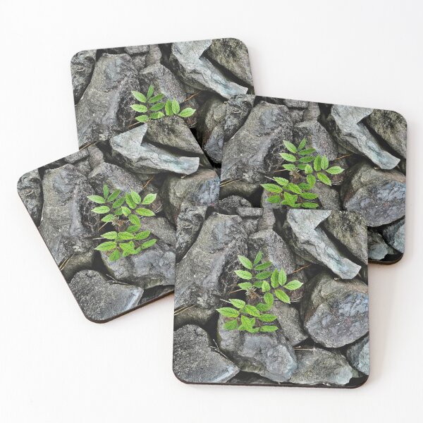 Item preview, Plant power designed and sold by Atmo&Aura.