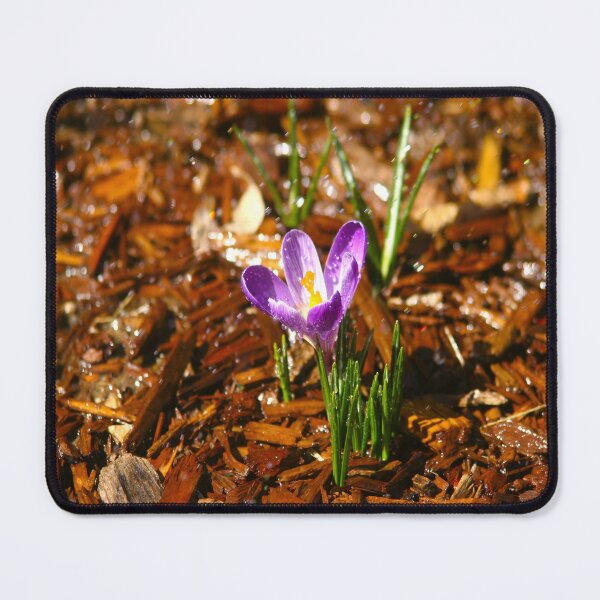 Item preview, Purple Crocus designed and sold by KoalaTeaPhotogr.