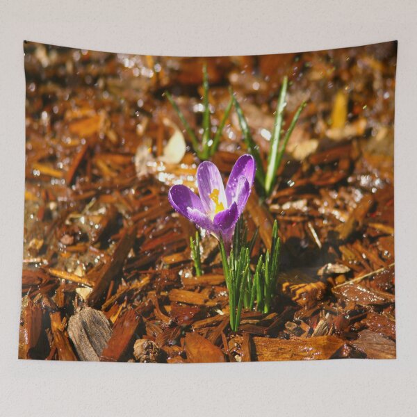 Item preview, Purple Crocus designed and sold by KoalaTeaPhotogr.
