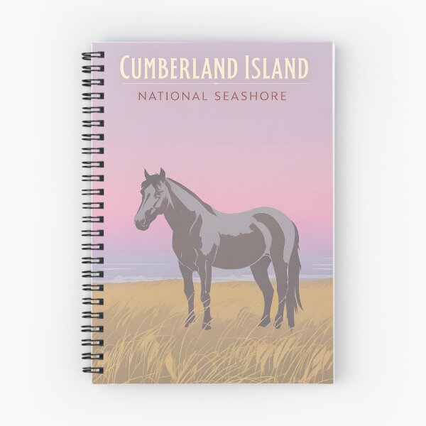 Artikelvorschau, Cumberland Island National Seashore entworfen und verkauft von Backyard Adventures.