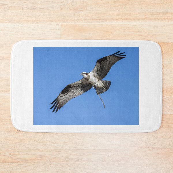 Item preview, Female Osprey with nesting material 4-5-2026 designed and sold by Thomasyoung.