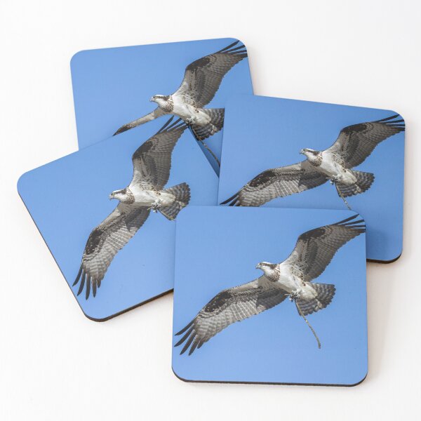 Item preview, Female Osprey with nesting material 4-5-2026 designed and sold by Thomasyoung.