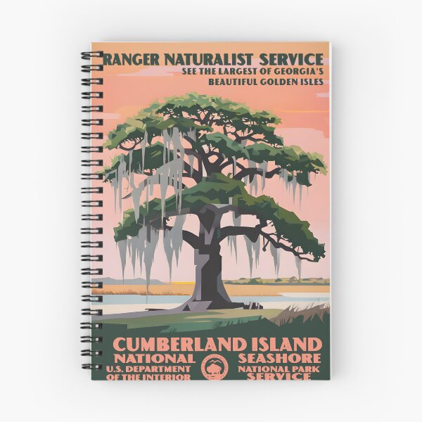 Artikelvorschau, Cumberland Island National Seashore entworfen und verkauft von Backyard Adventures.