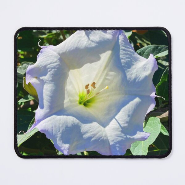 Item preview, Moonflower designed and sold by Courtney Croxall.