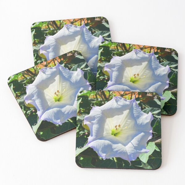 Item preview, Moonflower designed and sold by Courtney Croxall.