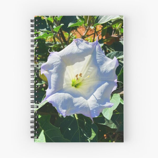 Item preview, Moonflower designed and sold by Courtney Croxall.
