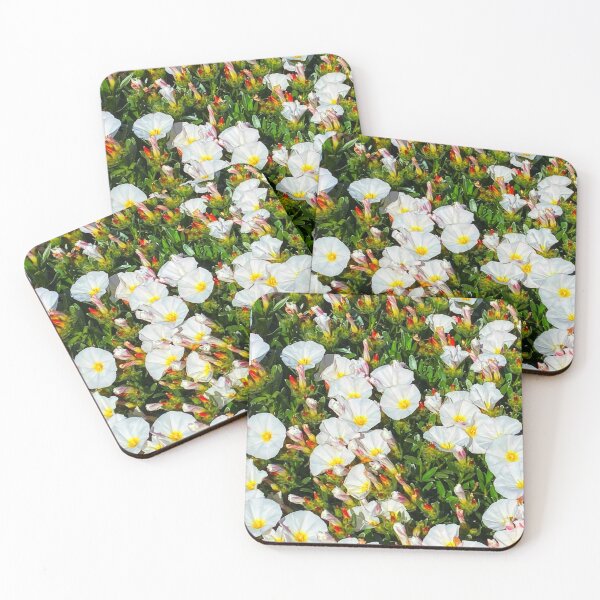 Item preview, White flowers designed and sold by Courtney Croxall.