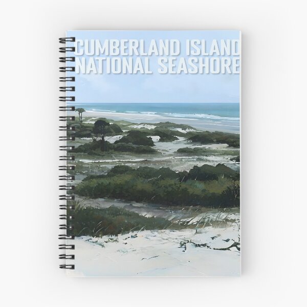 Artikelvorschau, Cumberland Island National Seashore entworfen und verkauft von Backyard Adventures.