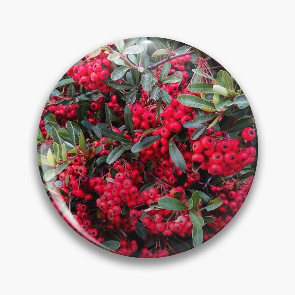 Item preview, Red berries designed and sold by Courtney Croxall.