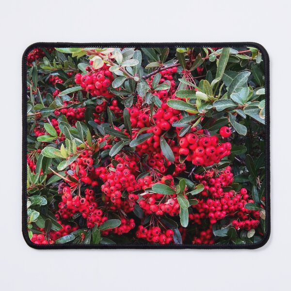 Item preview, Red berries designed and sold by Courtney Croxall.