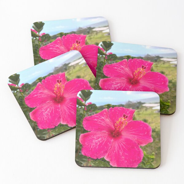 Item preview, Beautiful hibiscus on the Big Island of Hawaii designed and sold by Bri-1.