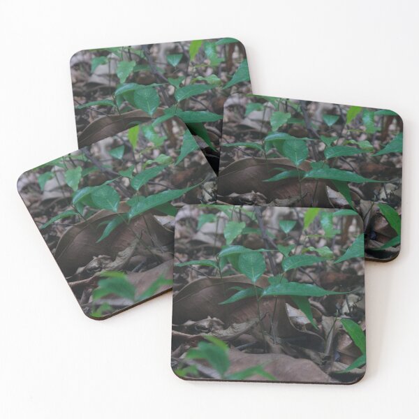 Item preview, Mini Forest designed and sold by ROSE ANN BANILAR.