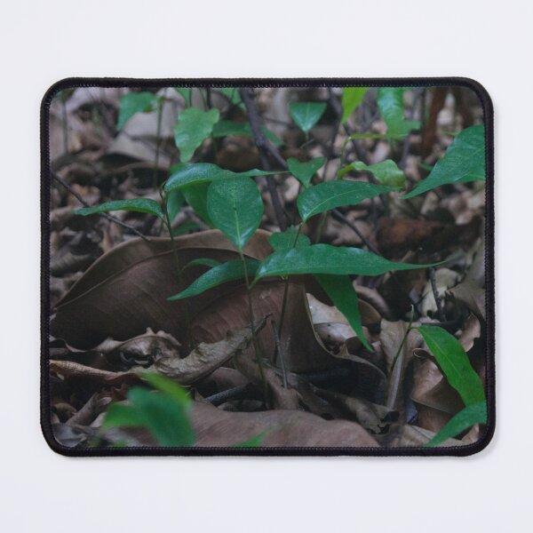 Item preview, Mini Forest designed and sold by ROSE ANN BANILAR.