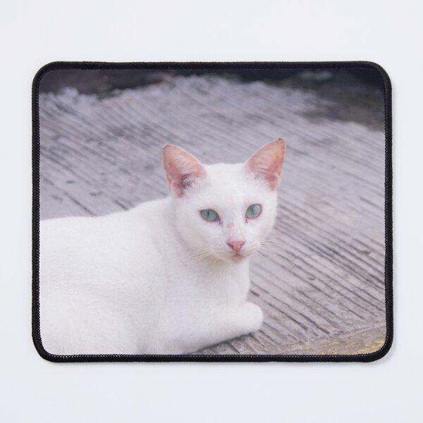 Item preview, Beautiful White Cat designed and sold by ROSE ANN BANILAR.
