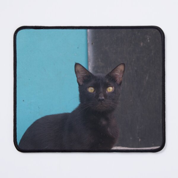 Item preview, Surprised Black Cat  designed and sold by ROSE ANN BANILAR.