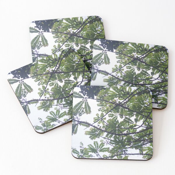 Item preview, Albizia adianthifoli designed and sold by ROSE ANN BANILAR.